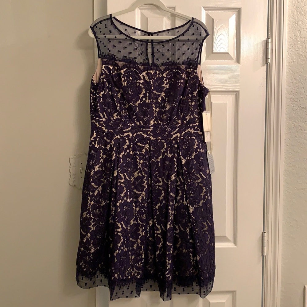 Eliza J Navy lace sheath dress